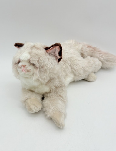 Ragdoll gatto peluche gattino - gatto,