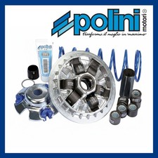 Variatore Polini 241.703