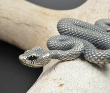 Ciondolo serpente serpente a