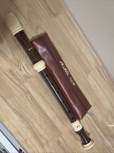 Toyama strumenti musicali - strumenti,