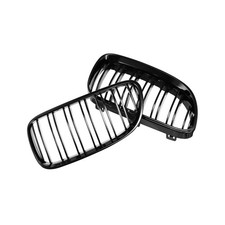 Griglia radiatore reni griglia