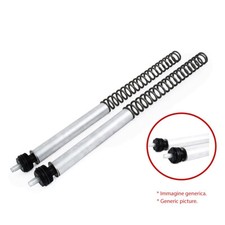 Ohlins Molle Forcella FSK 100 Honda Crf250 Rally 2017 > 2019 FSK 123