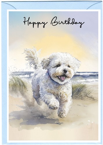 Biglietto compleanno bichon - biglietto,