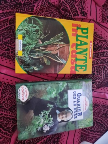 Piante casa guarire con - casa, e