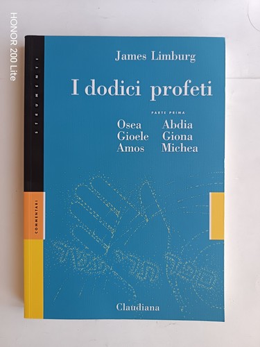 Limburg dodici profeti - i,