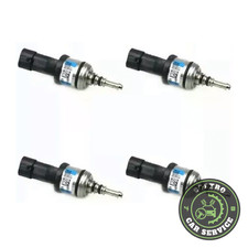 INIETTORE BRC GPL BLU CON