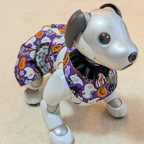 Sony aibo set gonna - gonna, cani