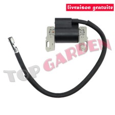 Bobine d'allumage pour