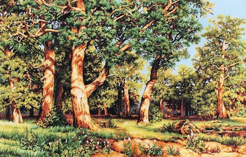 The oak grove b476l - the, luca-s