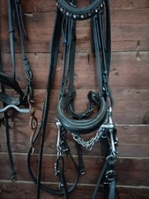 Testiera dressage svaroski