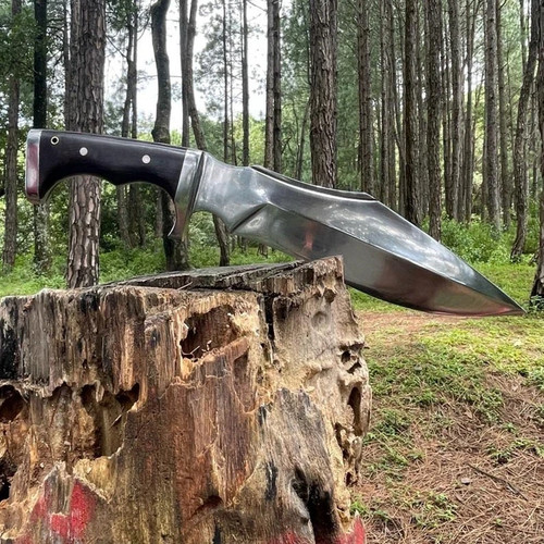Coltello bowie sopravvivenza - coltello,