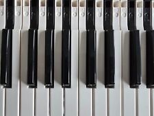 Chiavi / molle di ricambio per