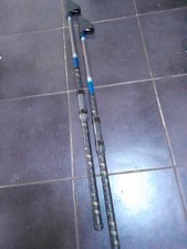 2 aste telescopiche Pavero