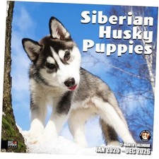 Select - Siberian Husky