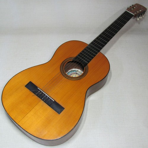 Chitarra acustica francisco - chitarra,