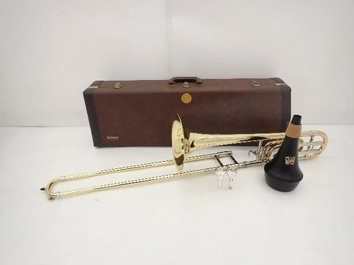 Custodia rigida trombone