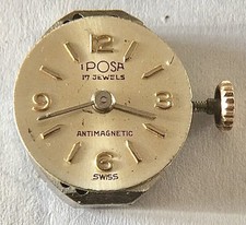 IPOSA - 17 Rubis Donna-