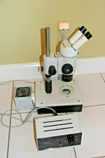 Microscopio stereo Leica Wild