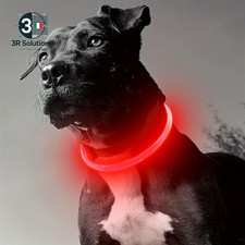 Collare LED per Cani Luminoso