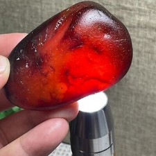 Bonsai di Suiseki pietra