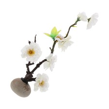  Fiori Decorativi Per Piatti