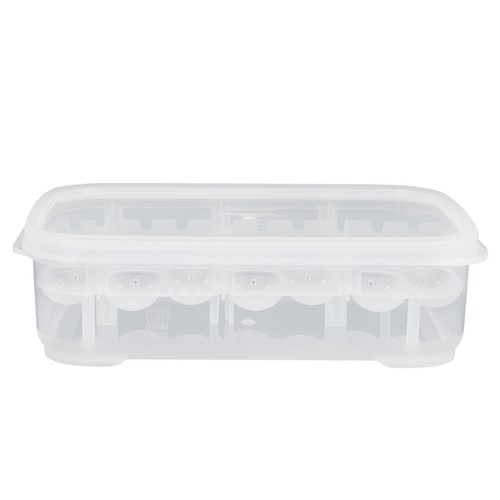 Terrario allevamento box - terrario,