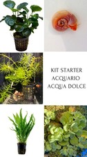 Kit Starter Acquario Naturale
