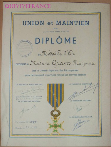 Dipl046 diploma assistenza - dipl046,