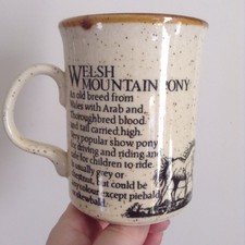 Vtg WELSH MOUNTAIN PONY