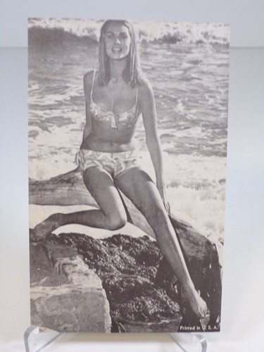 Vintage pin fotografia - vintage,
