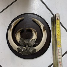 Grande capitale armi a cuneo