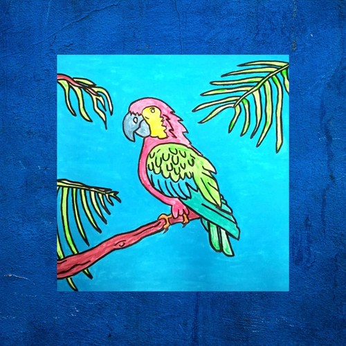 Quadro pappagallo tropica - quadro,