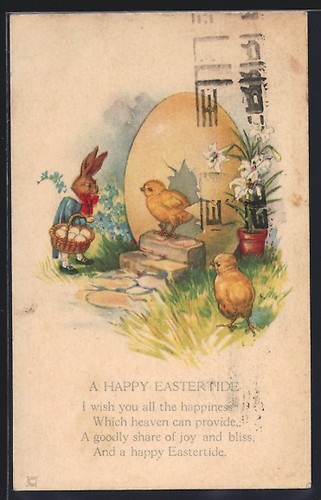 Cartolina coniglio pasquale - coniglio,