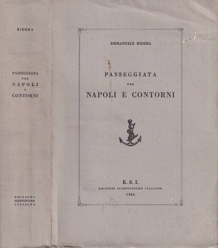 Passeggiata per napoli - passeggiata,