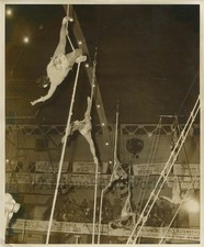 Circo Acrobati Artisti Su