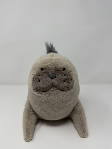 Autentico roarwell sea lion - sea,