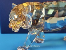 Swarovski SCS 2010 Tiger Big