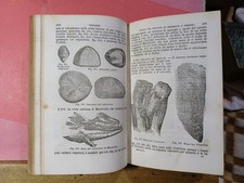 1862 - GEOLOGIA e MINERALOGIA - STORIA  NATURALE - 760 PAGINE - SEGNI DEL TEMPO.