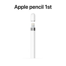 Apple Pencil (1. Generazione)