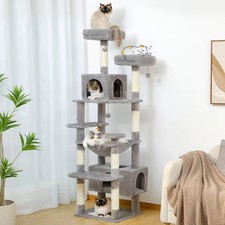 TIRAGRAFFI PER GATTI