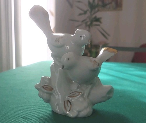Coppia uccelli in - coppia,