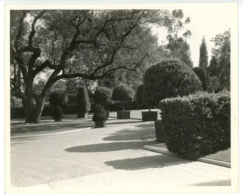 Foto epoca 8x10 paramount - foto, d'epoca