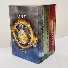 Divergent Dystopian Novel