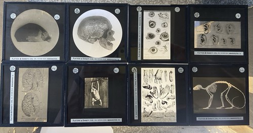 Rare flatters garnett ltd - rare, &