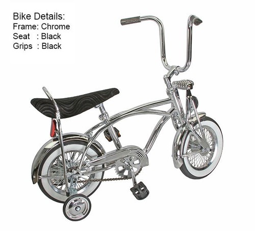 Bicicletta collezione - 12",
