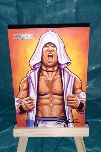 2008 tristar tna wrestling - 2008,