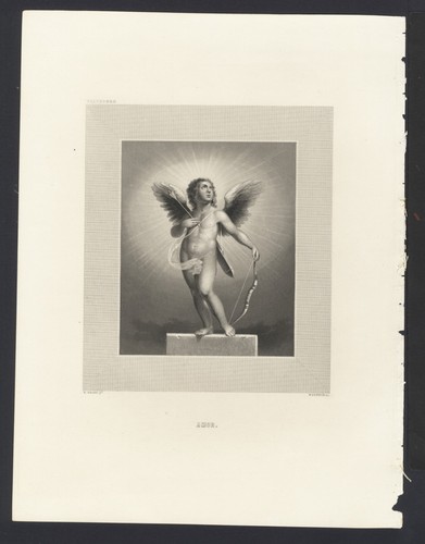 Cupido elis sirani - cupido, ,