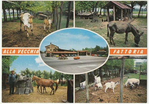 Cesarolo michele al - cesarolo, s.