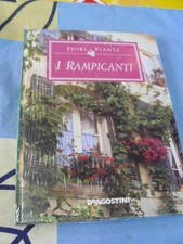 I rampicanti Fiori e Piante
