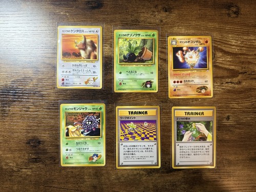 Pokemon eroi palestra - pokemon,